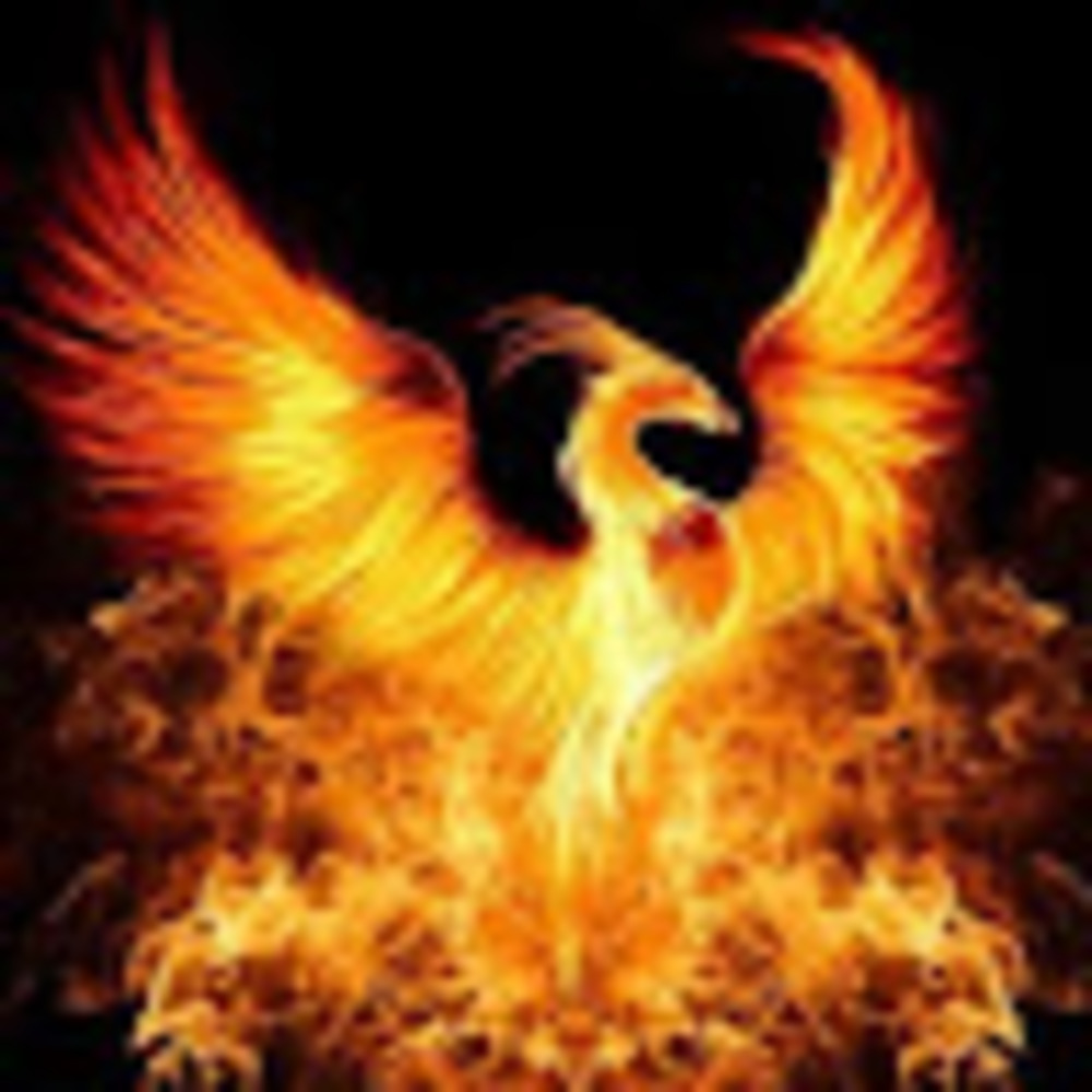 Meet your Posher, Dragon x